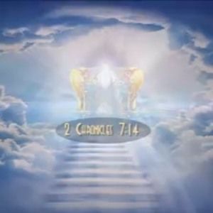 Meet your Posher, Ado